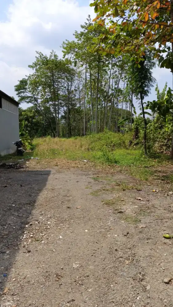 Jual tanah cepat tanpa perantara