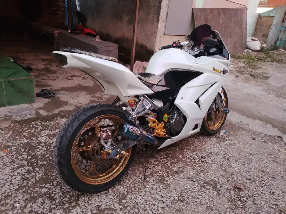 Kawasaki Ninja 250 Karbu