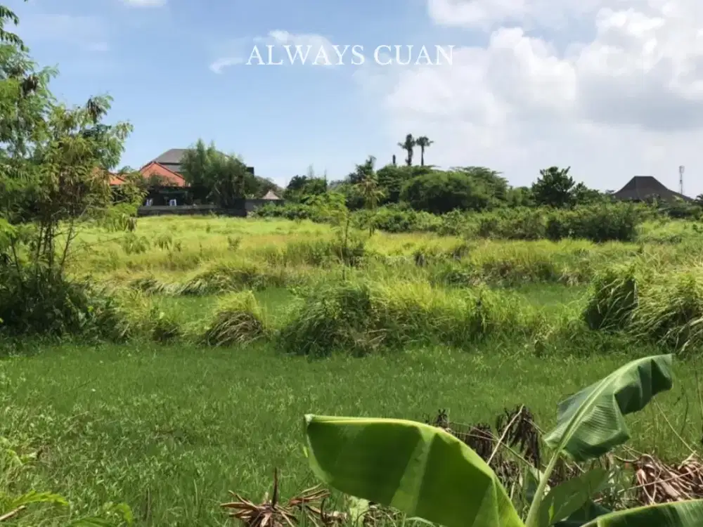 Tanah luasan besar zona campuran area kerobokan