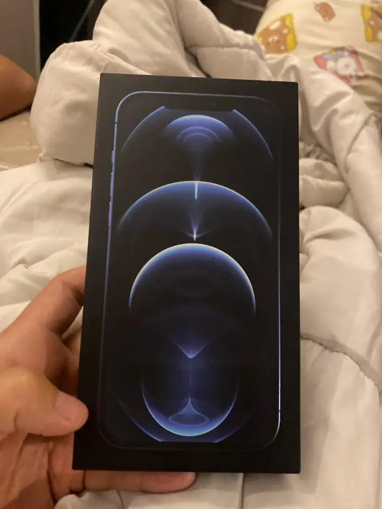 Kardus Iphone 12 Pro Max