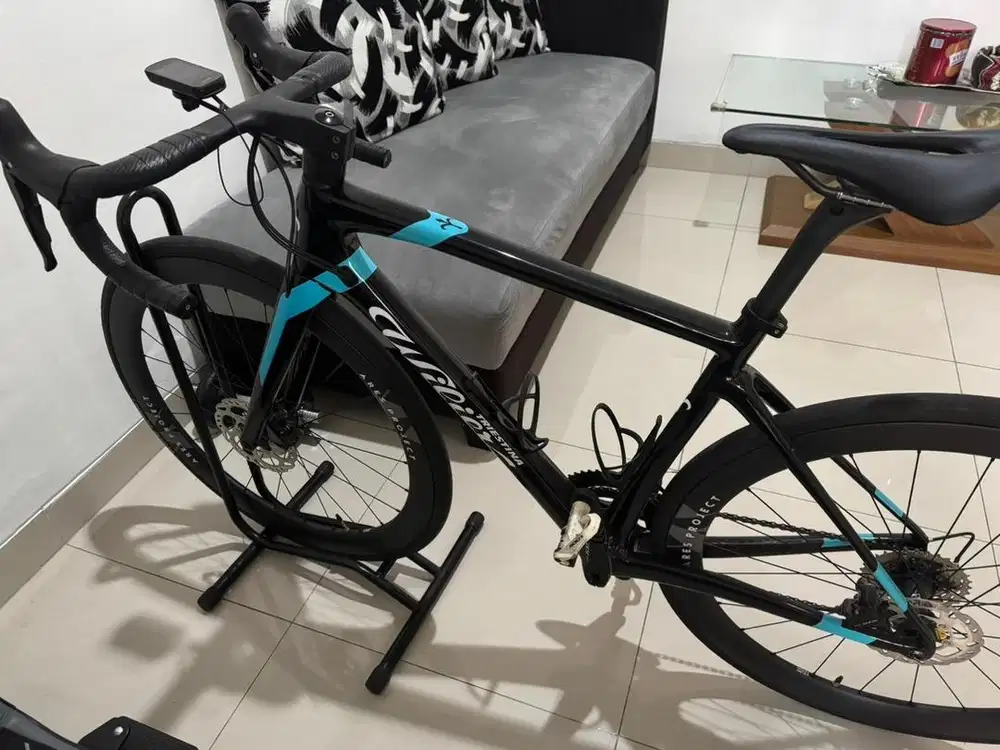 Roadbike Wilier Trestina