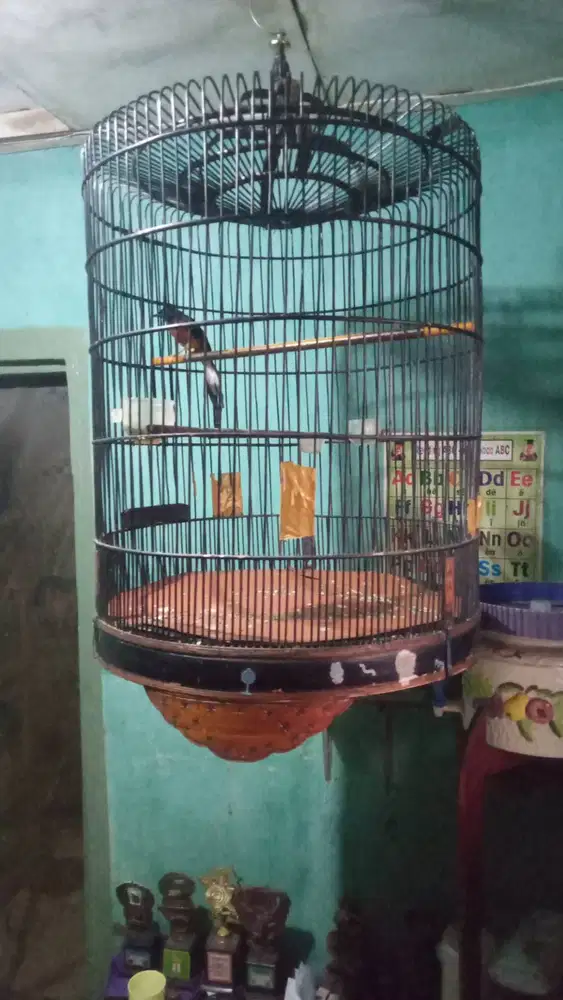 Murai Medan ring murah