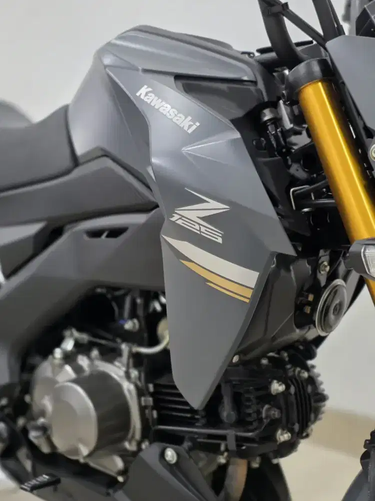 Kawasaki Z125 tahun 2024 Muluss Pakai
