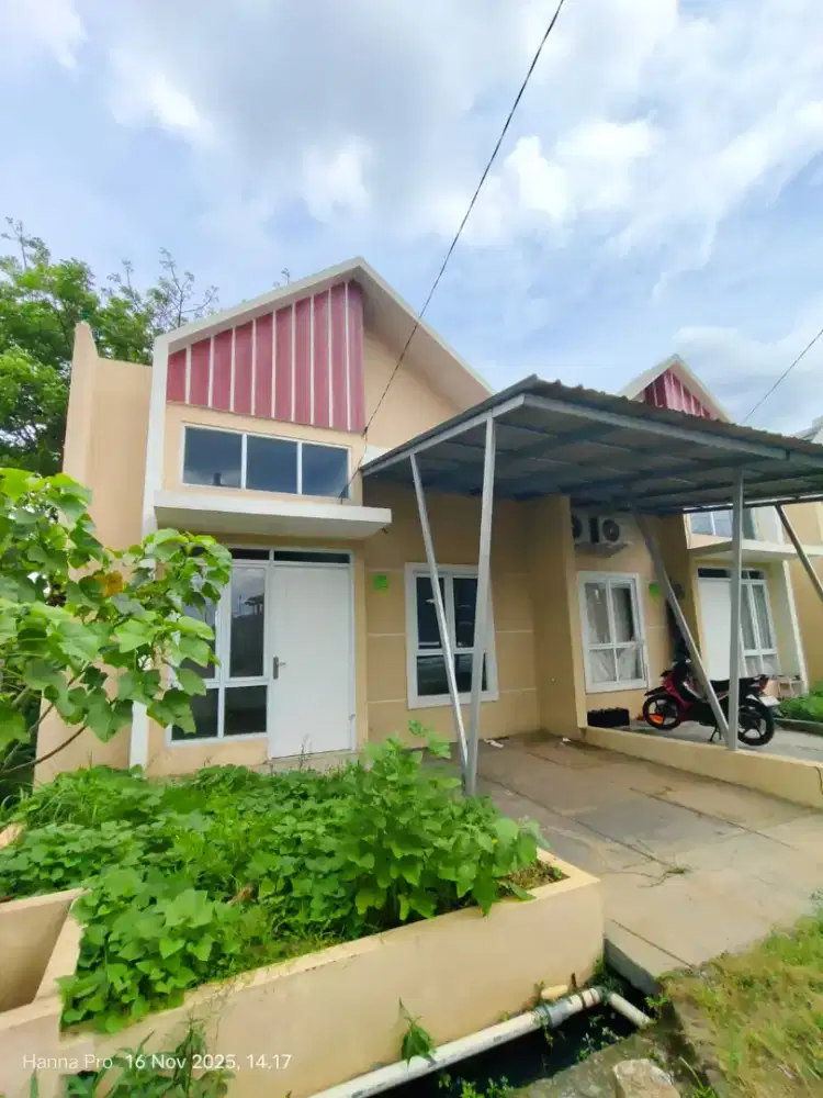 Take Over Cluster Viola posisi hook