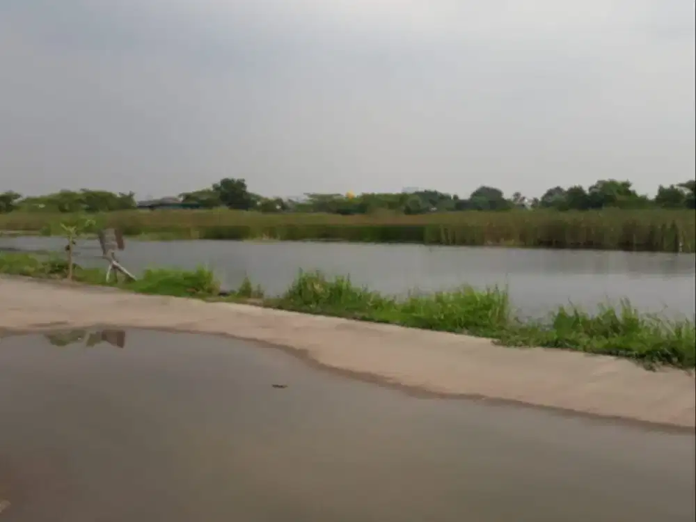 tanah di bawah pasar