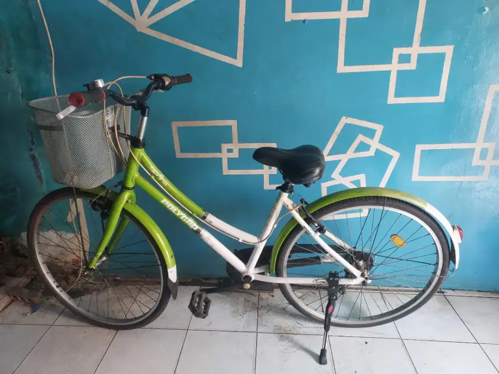 Sepeda  poligyon