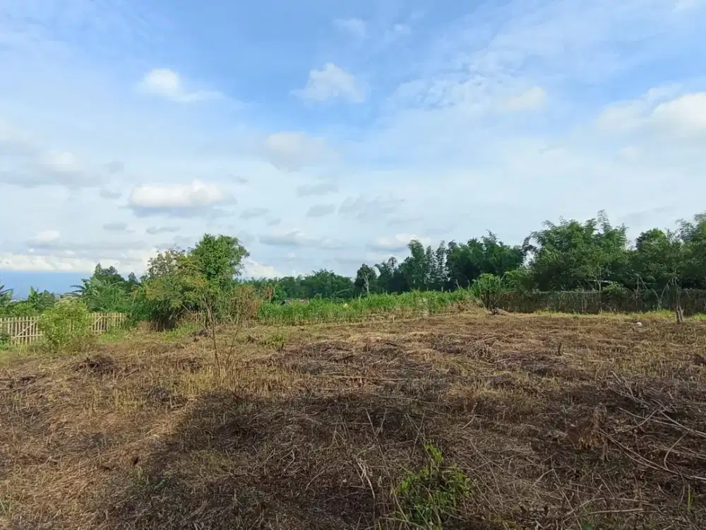 Sertipikat Hak Milik Kavling Investasi Taman Klandungan Area Mahasiswa