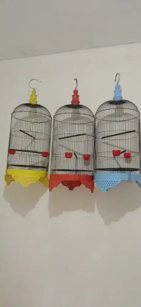 kandang lb badman baru