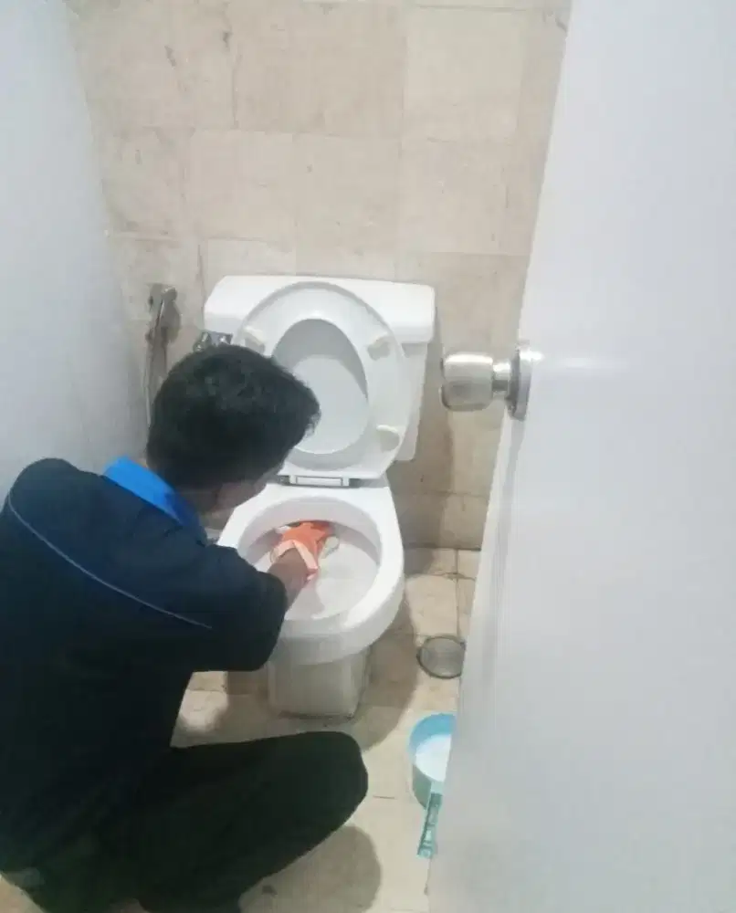 Cleaning service, home cleaning service