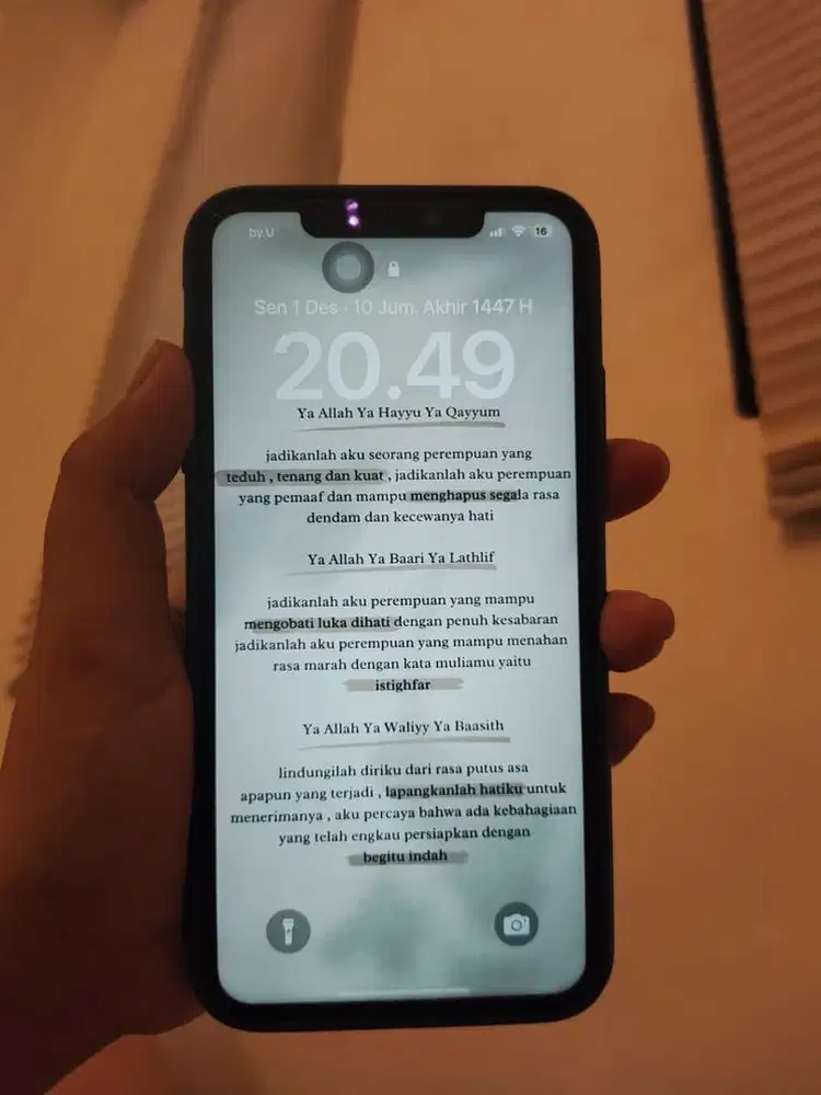 ipon xsmax 64gb inter