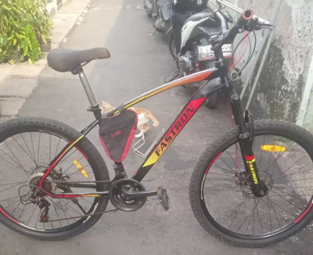 Sepeda gunung Fastron UK 26
