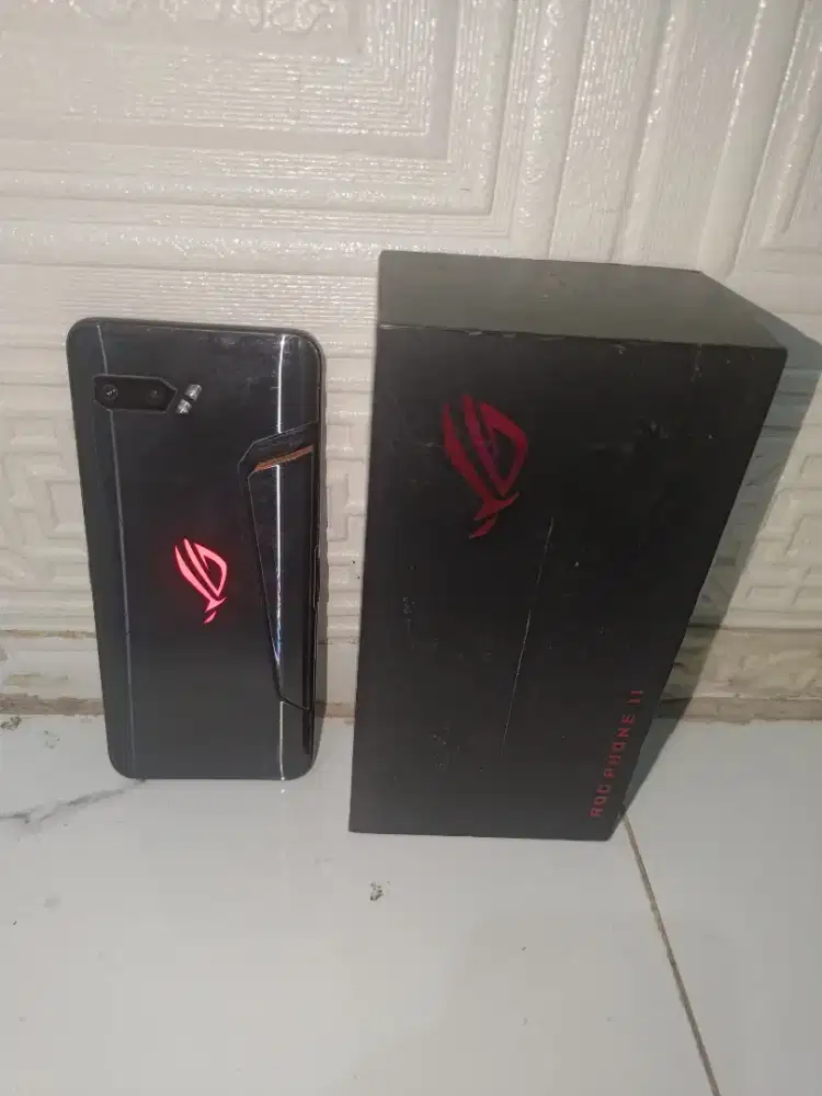 Rog 2 pulset nominus