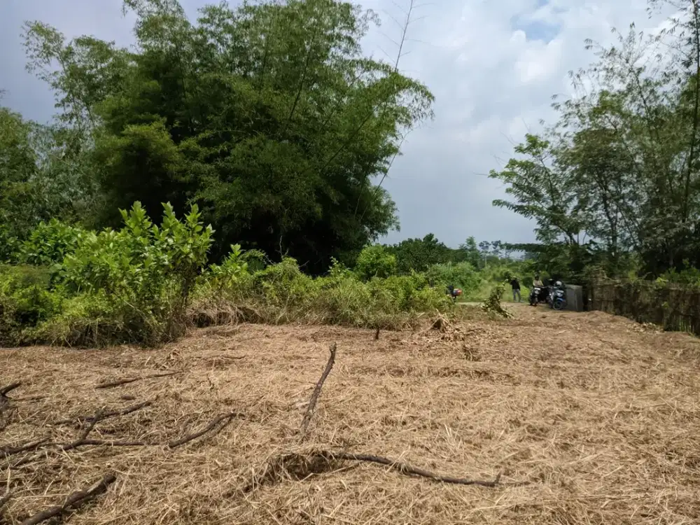 SHM ready coco untuk kost,rumah,investasi fri biaya notaris Inves Tinggi