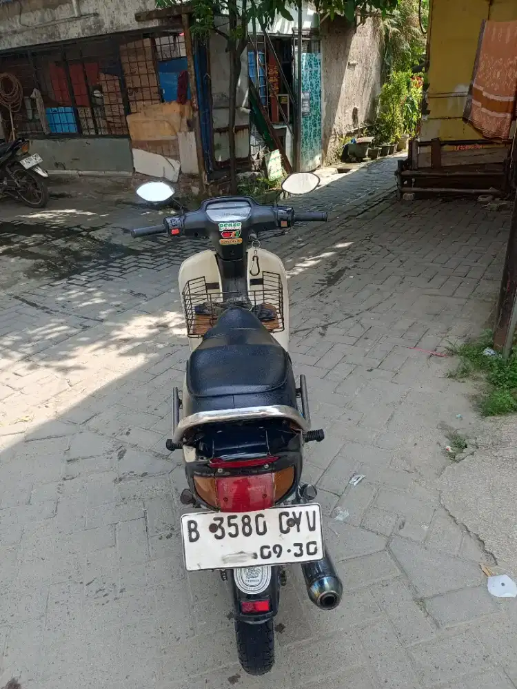 Astrea pajak idup panjng lengkap