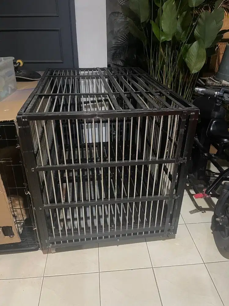 Kandang Anjing besar