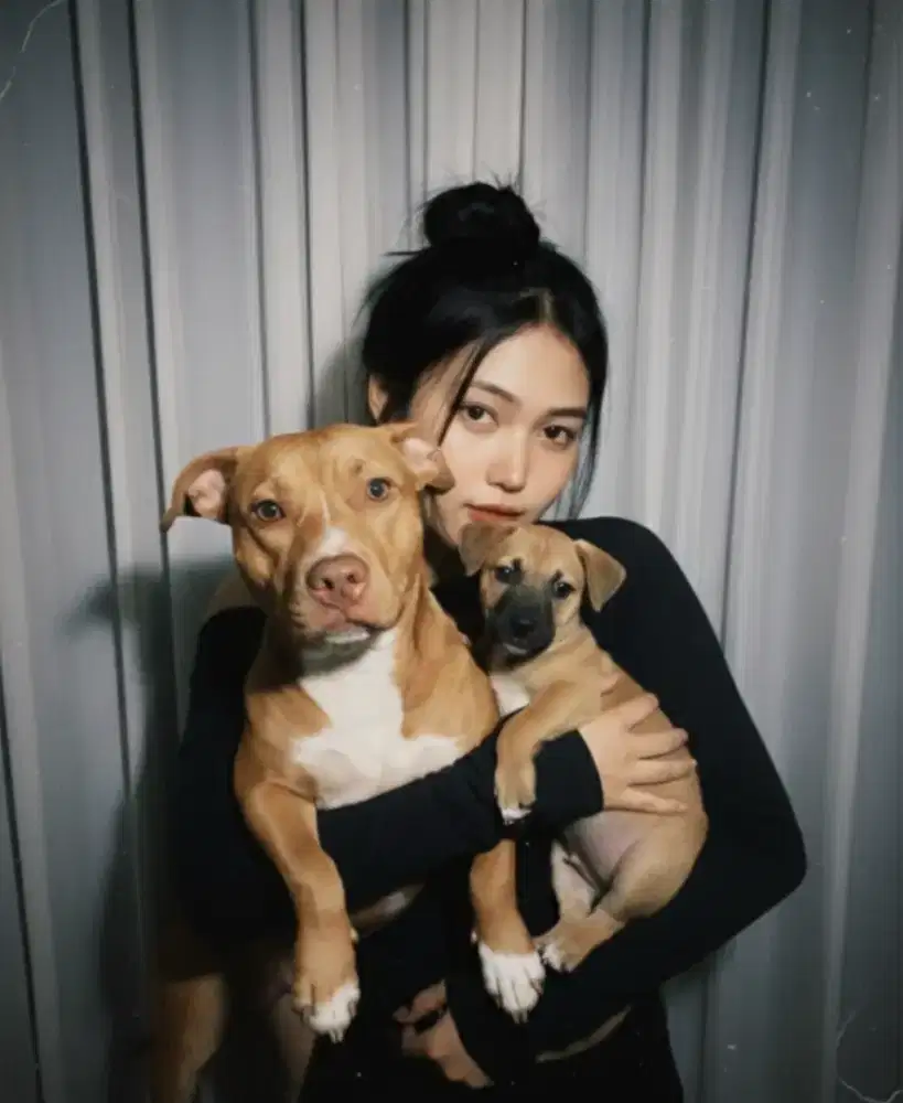 cari pekerjaan freelance