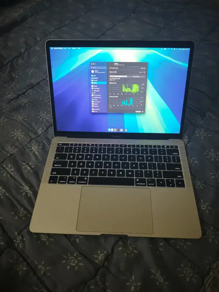 Macbook Pro 2017 Core i5 8GB 256GB Normal original