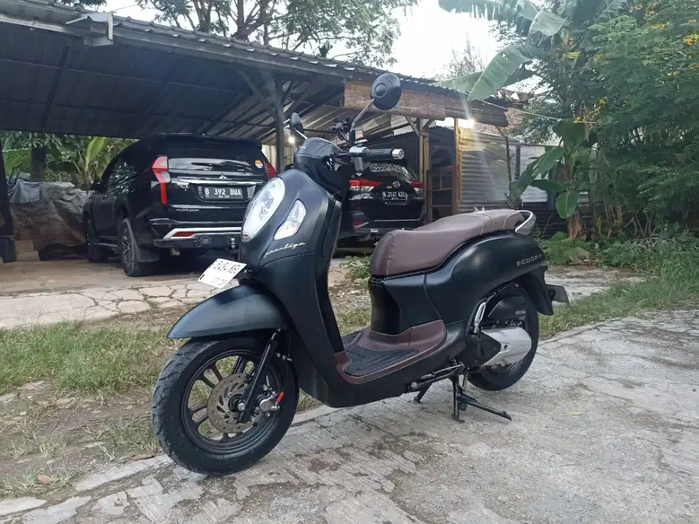 Scoopy Prestige 2024