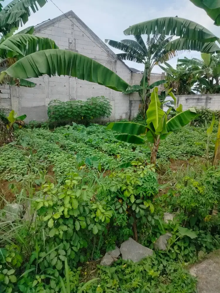 Semoga Berkah jual Lahan Kavling Tasnim Residence 3 - Ciampea Bogor