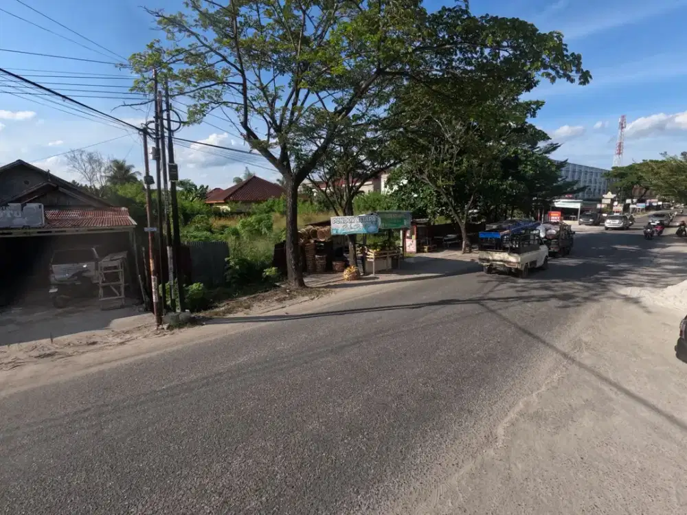 Pinggir Jl. Melati-Naga Sakti, Tanah Dijual: Prospek