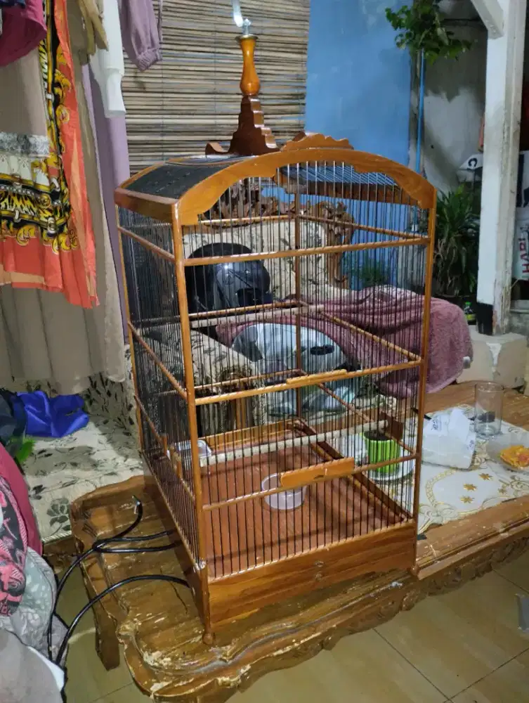 Kandang No2 Ruji Fiber