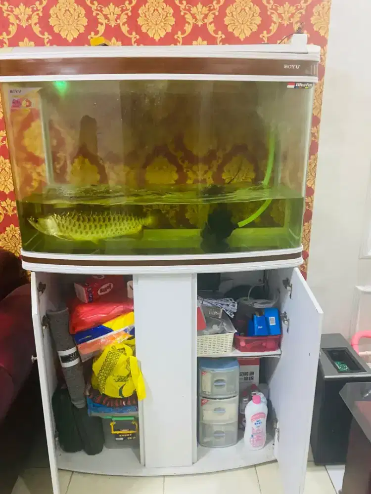 Aquarium boyu sama ikan