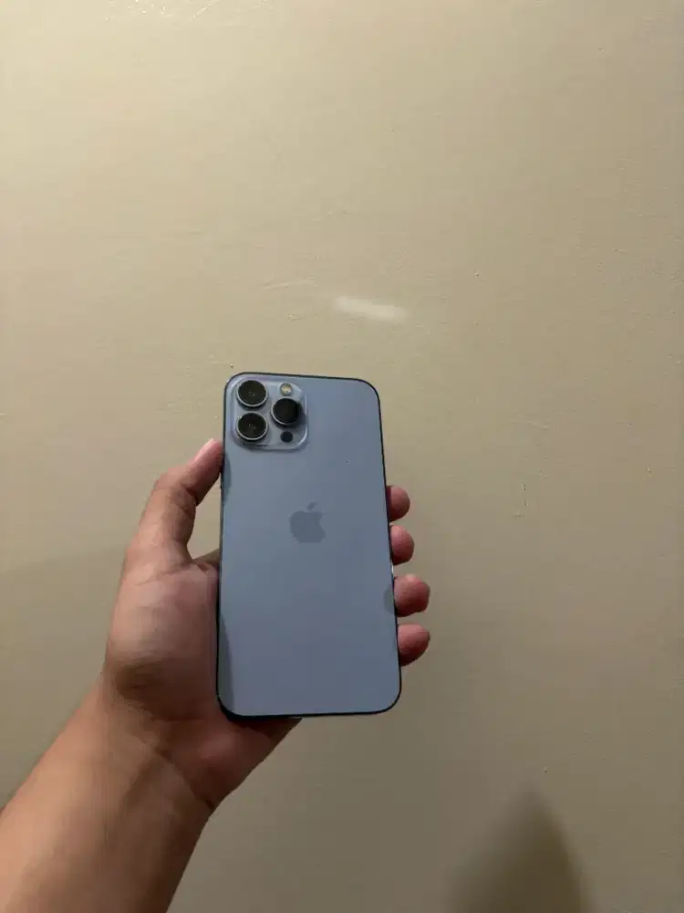 iPhone 13promax beacukai