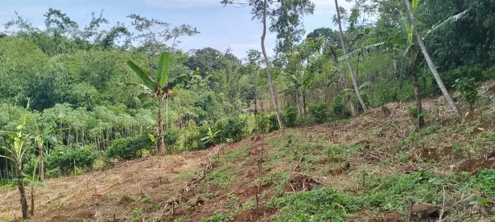 Dijual cepat Tanah luas 2279m²