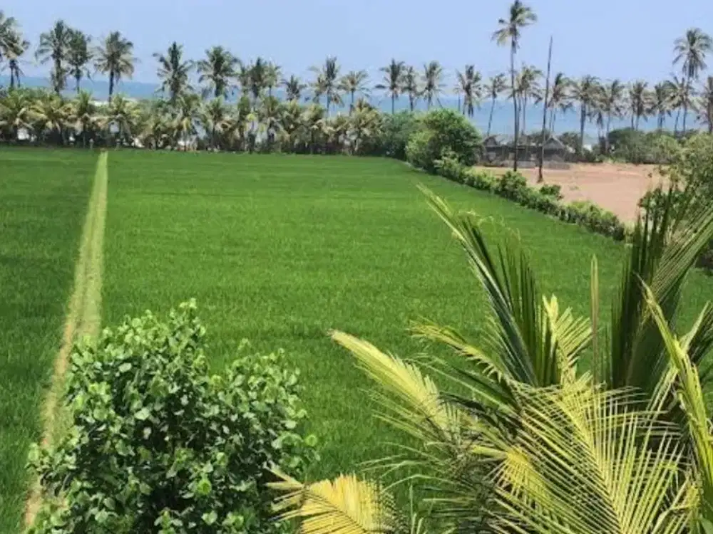 44 are loss pantai Barang Super Baru loss pantai