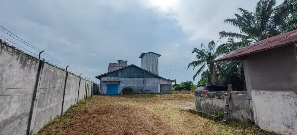 Jual Tanah Dan Gudang Plus Rumah Walet.Kampung Pon(Desa Sei Bamban)