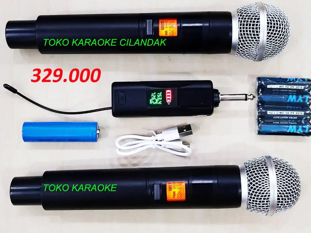 MICROPHONE WIRELESS SIMPLE 2MIC