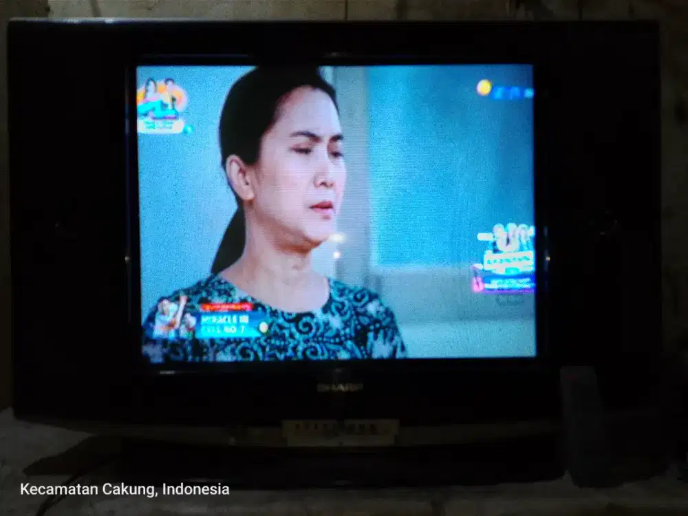 TV 29 INC SHARP SLIM