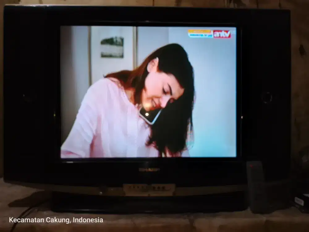 TV 29 INC SHARP SLIM