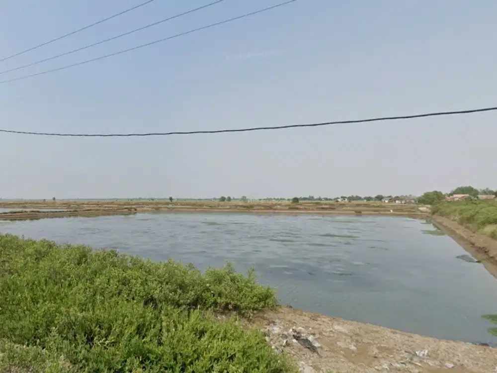 TANAH & TAMBAK UDANG DI CILAMAYA DIJUAL MURAH