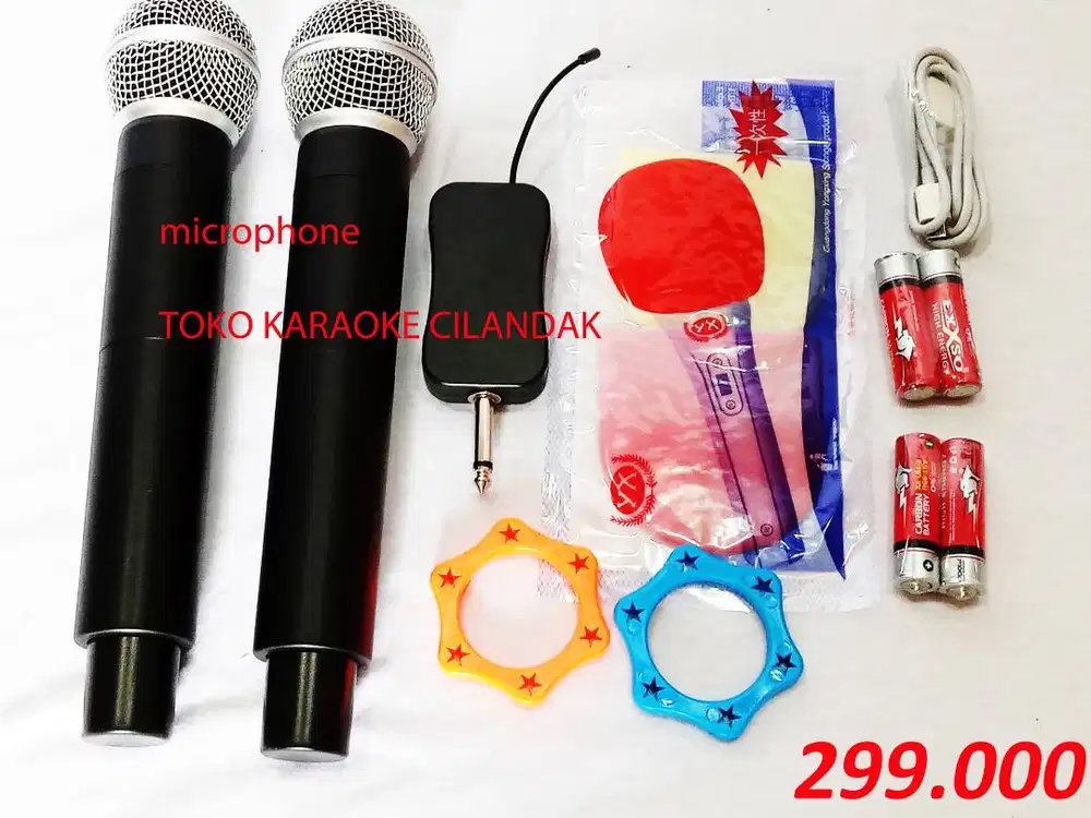 MICROPHONE WIRELESS SIMPLE 2MIC