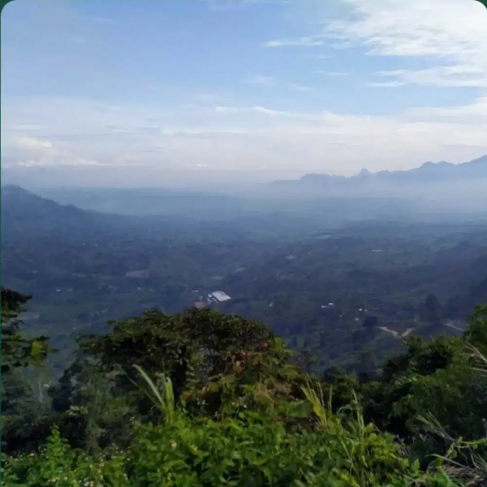 Tanah murah strategis untuk usaha