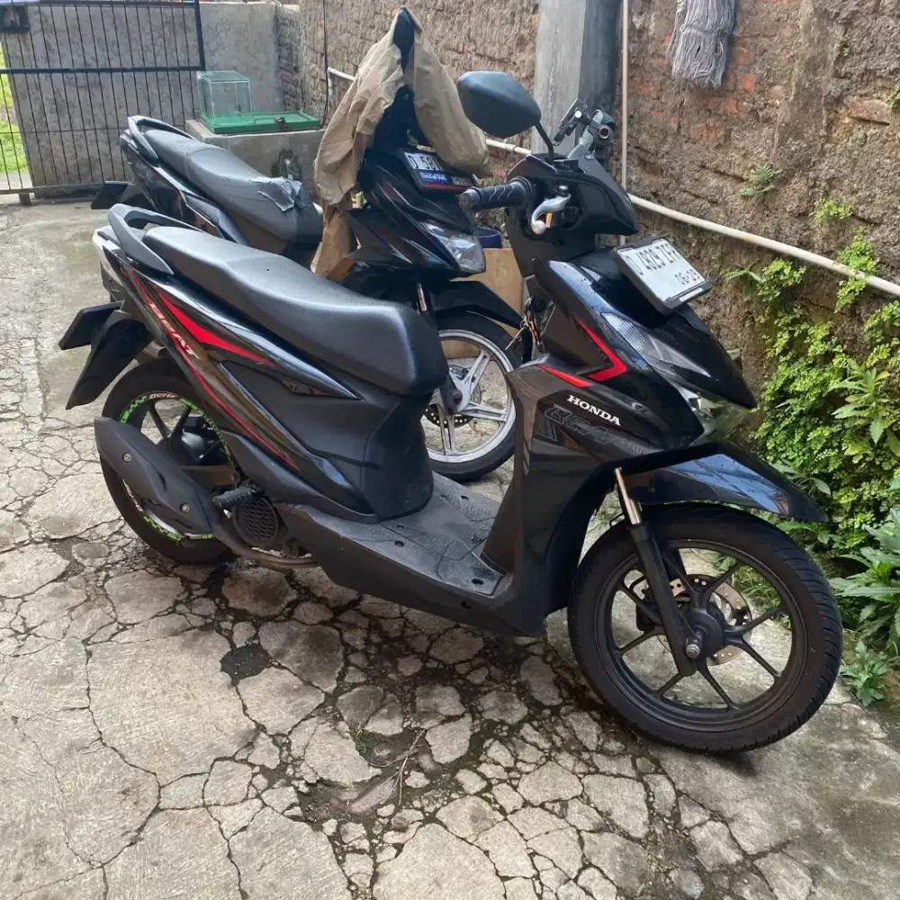 Honda beat new 2025