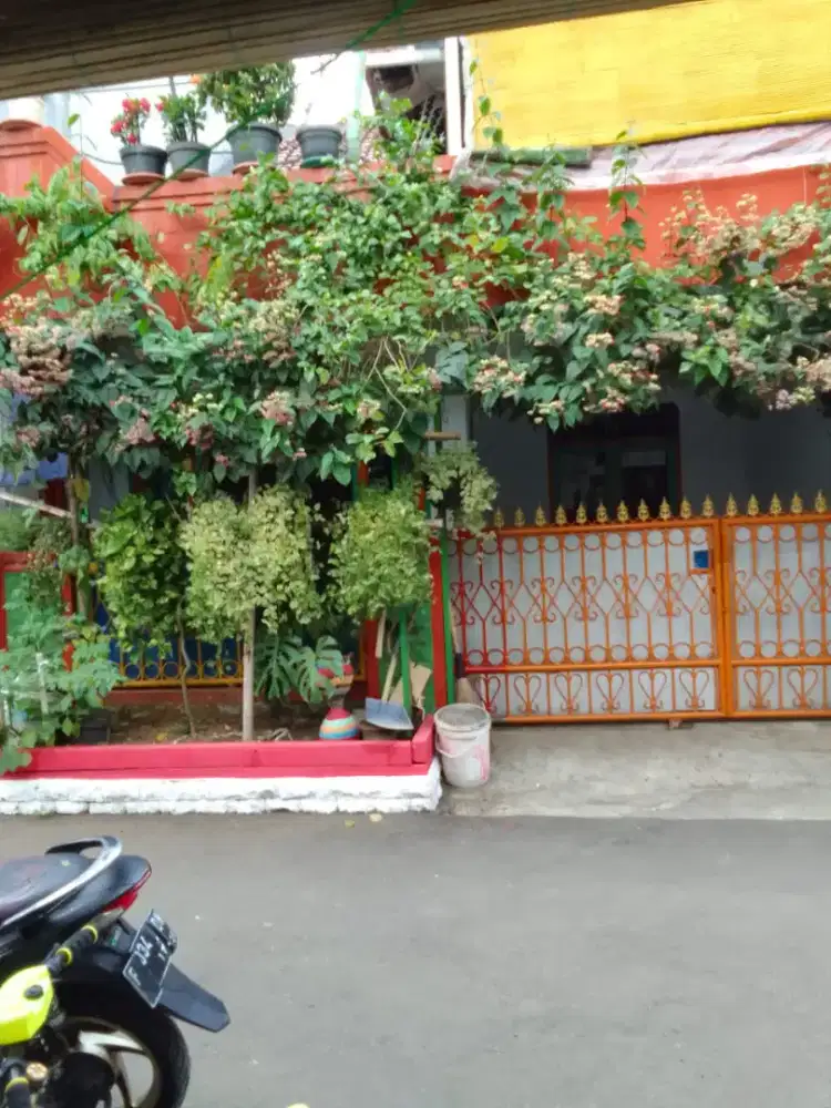 Di Jual Rumah di komplek Pkpn Bogor