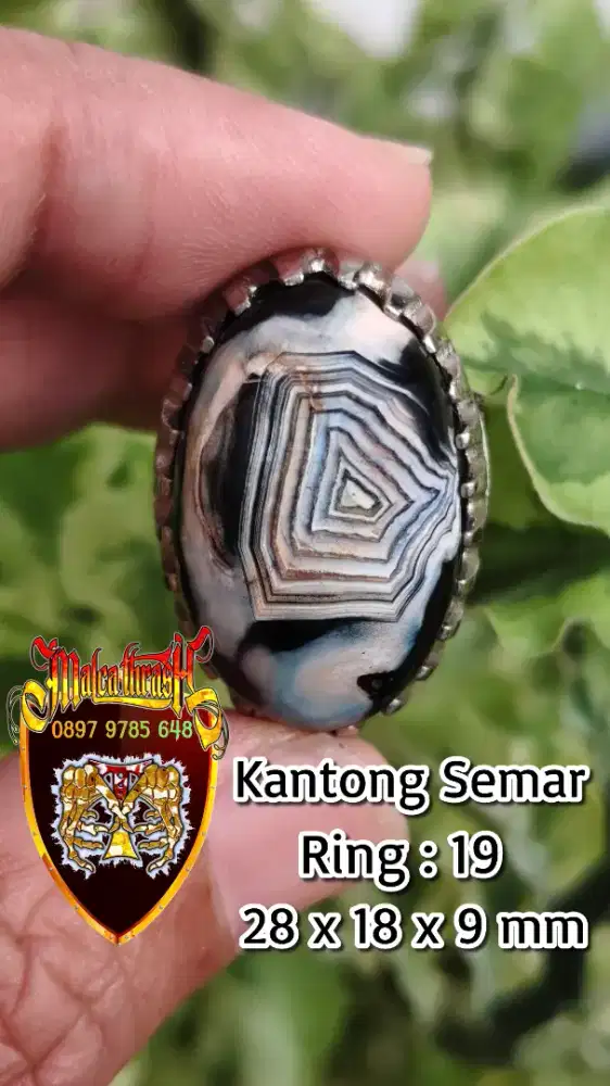 Cincin Karang Nunggal Kantong Semar