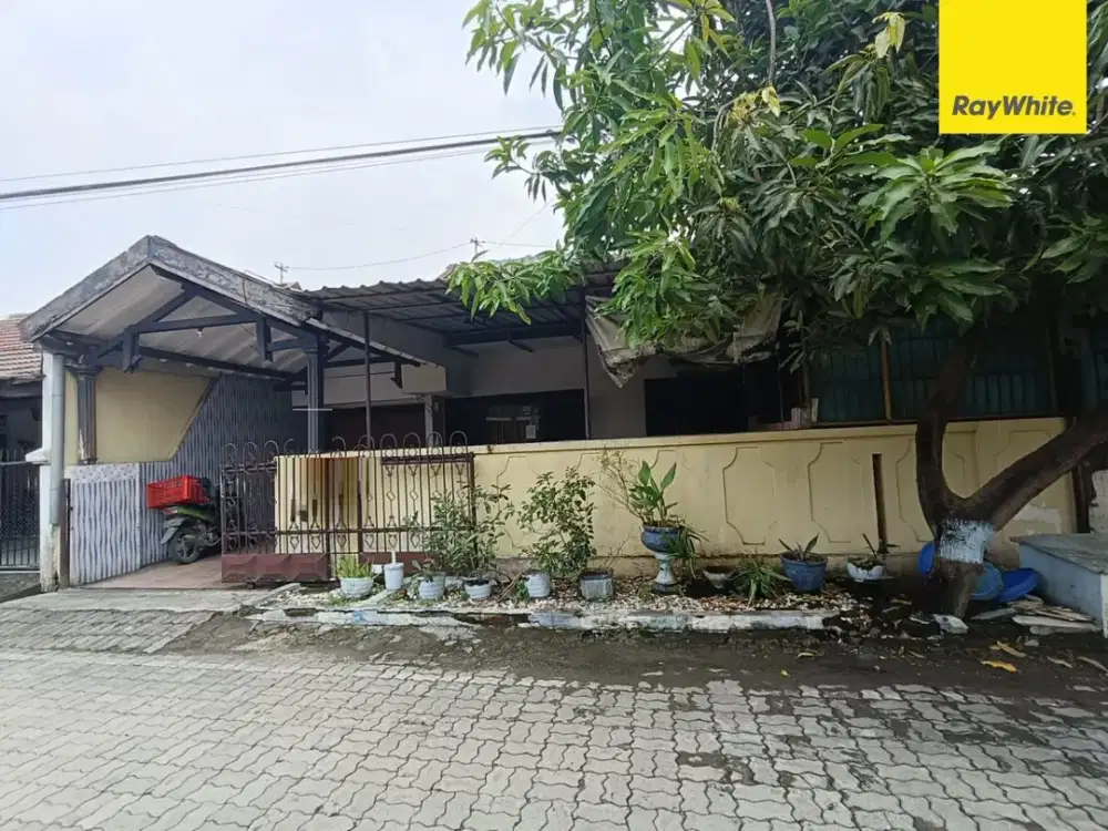 Dijual Rumah Murah di Jl Jambu Pondok Tjandra Sidoarjo