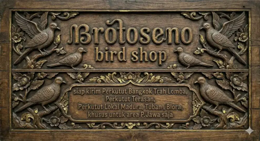 Perkutut Bahan Lomba Ciamik