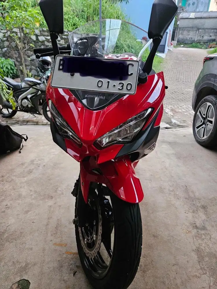 Kawasaki Ninja F1 250