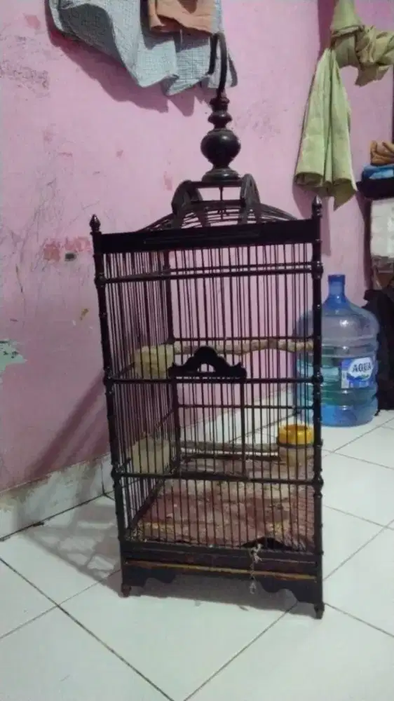 Sangkar Burung kotak