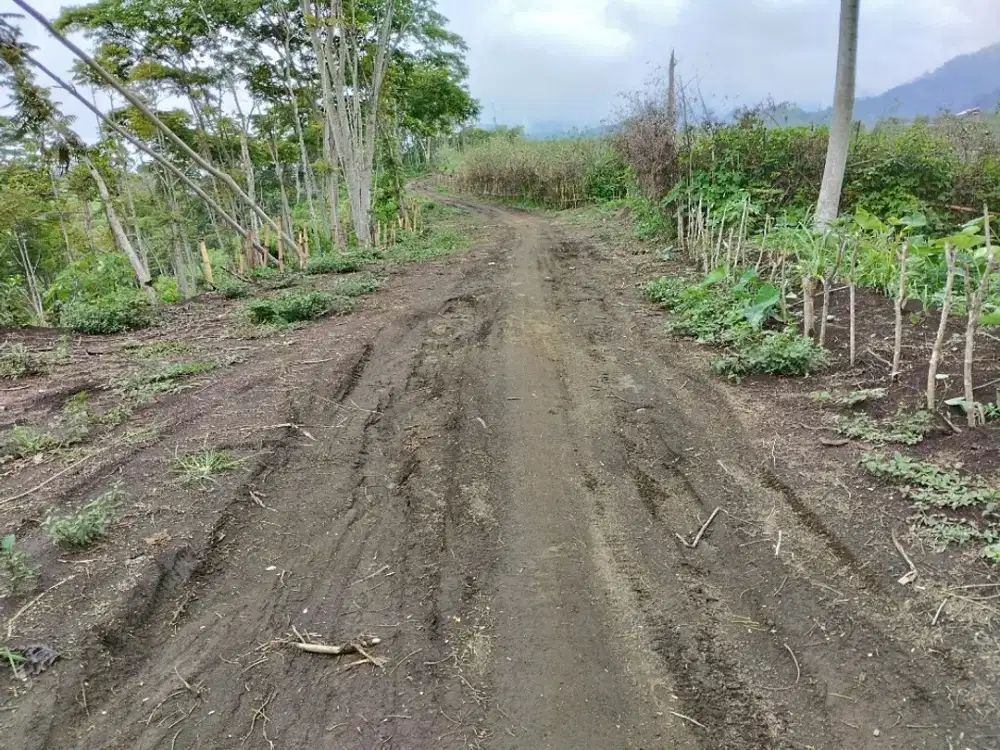 Tanah murah view bagus poncokusumo malang