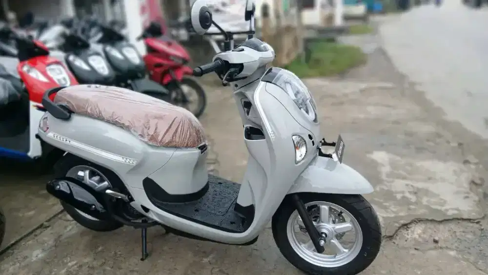 HONDA SCOOPY STYLISH