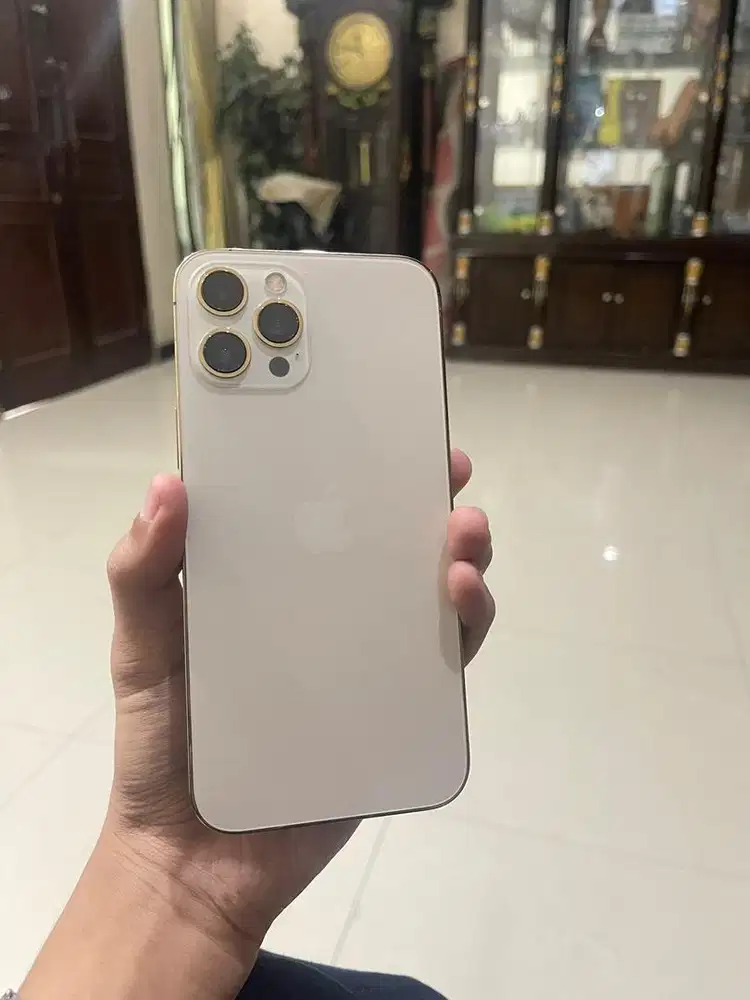 iPhone 12 promax 256 resmi ibox