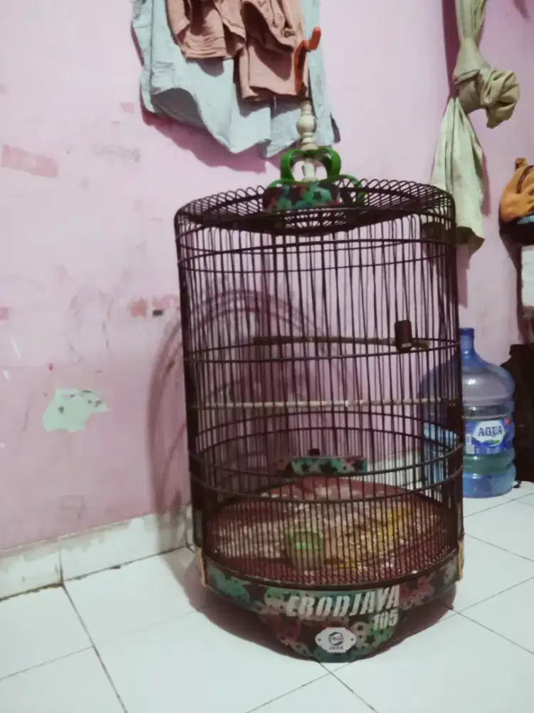 Sangkar burung murai no 2.