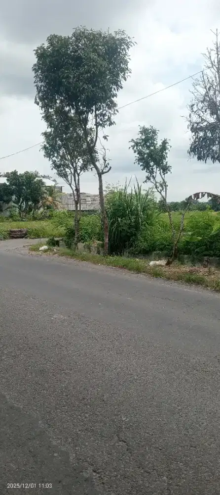 Tanah di Berbah 470 mtr, lbar dapat 2 muka