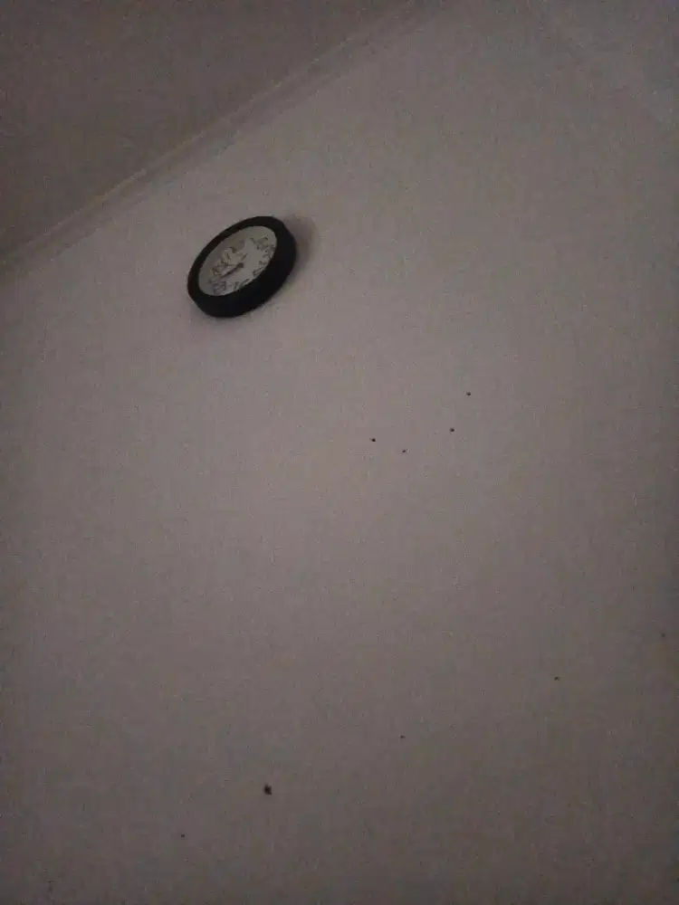 DIBUTUHKAN SEGERA ART SEKALIGUS NGASUH