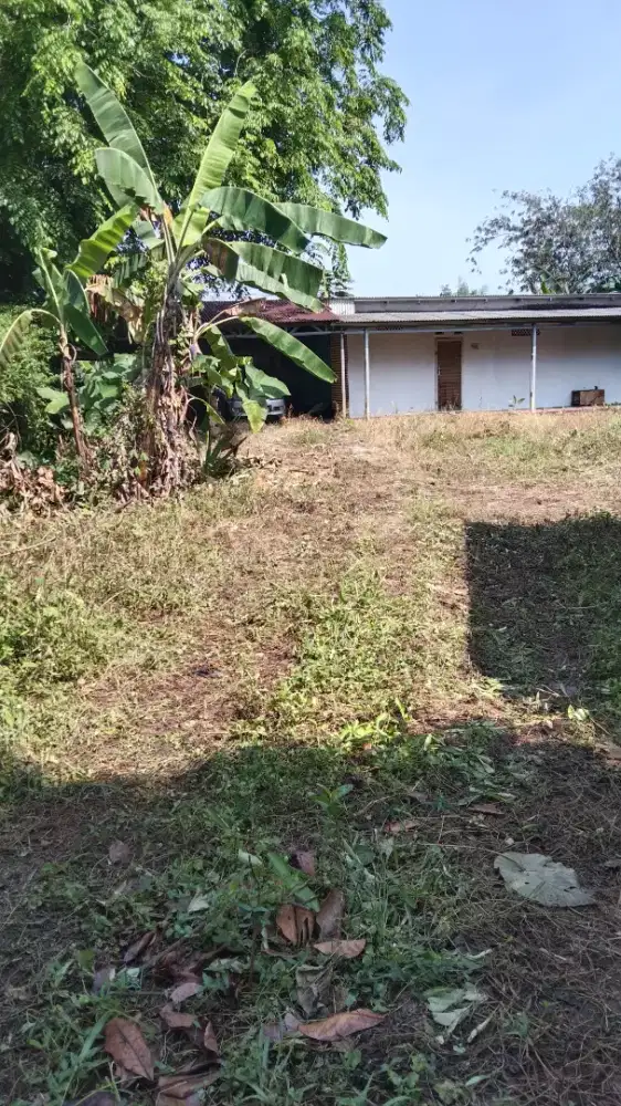 Di sewakan rumah luas d jalan raya Lebakwangi Parung kabupaten.